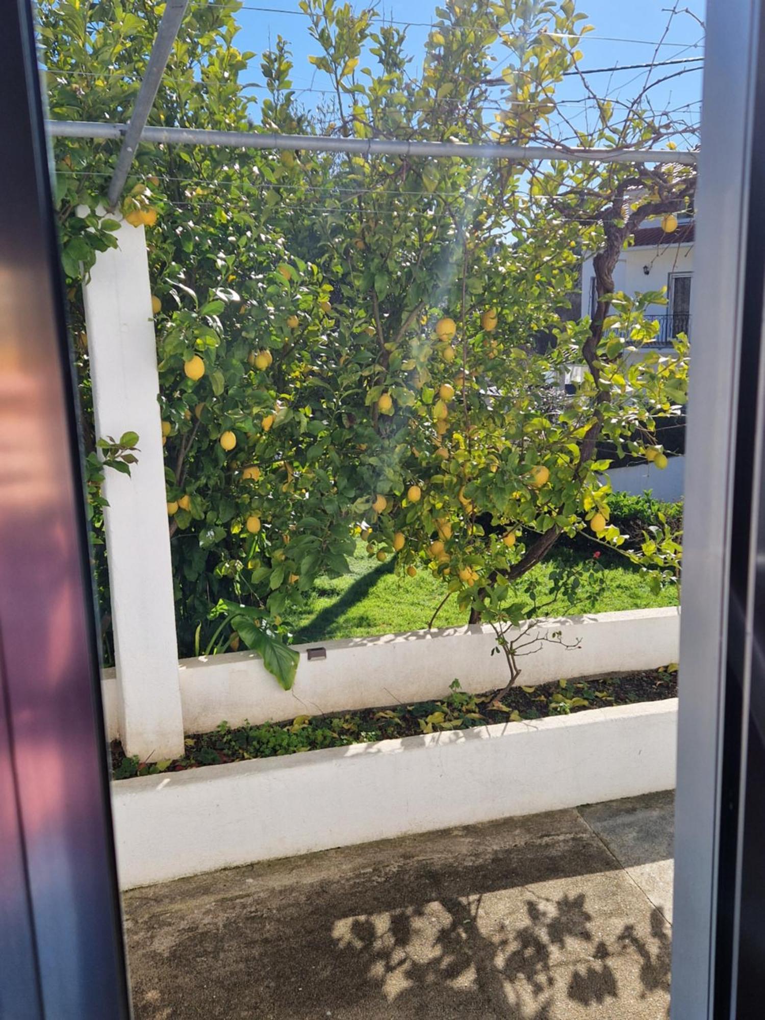 Casa Dos Martelitos Villa Salgueira  Kültér fotó